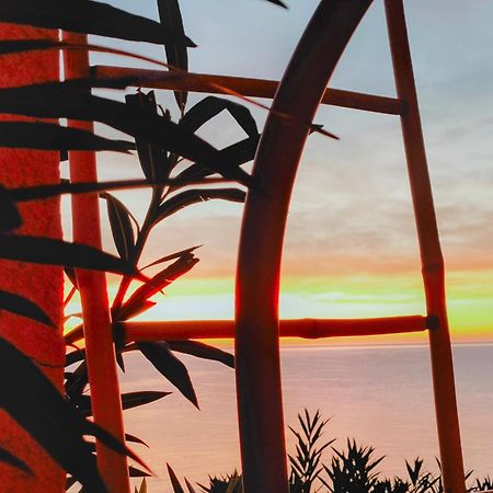 Studio Vue Sur Mer 孔卡 外观 照片