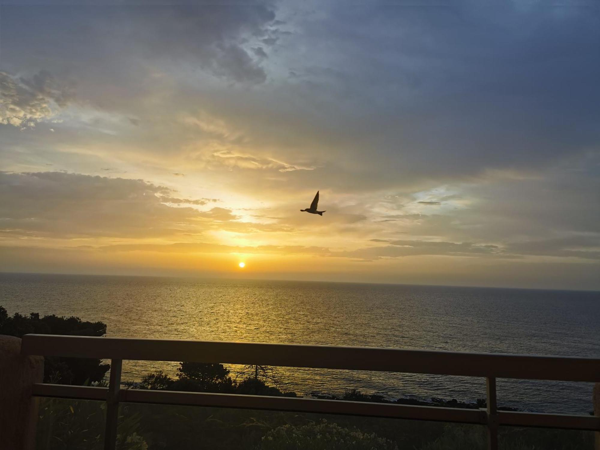 Studio Vue Sur Mer 孔卡 外观 照片