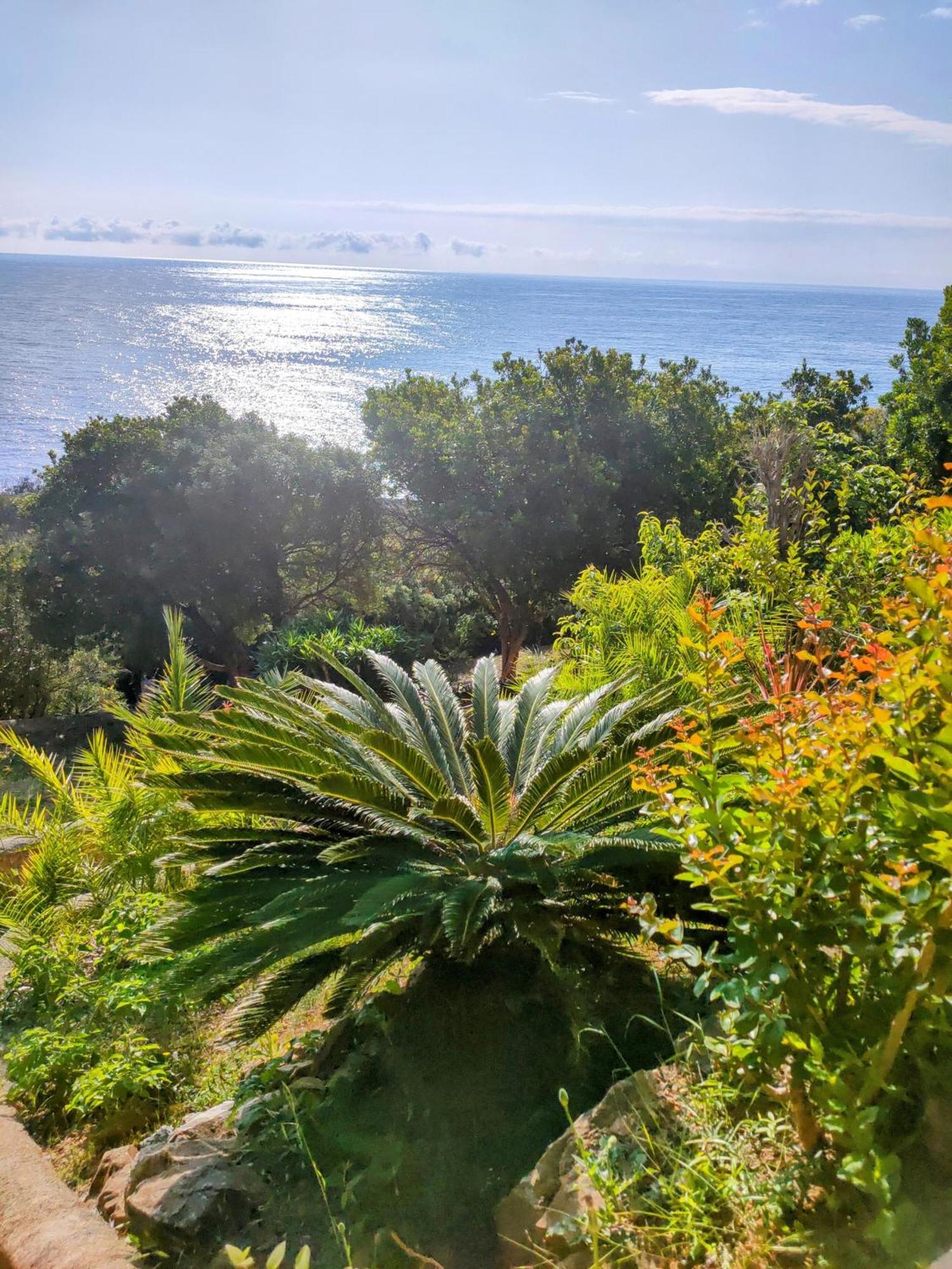 Studio Vue Sur Mer 孔卡 外观 照片