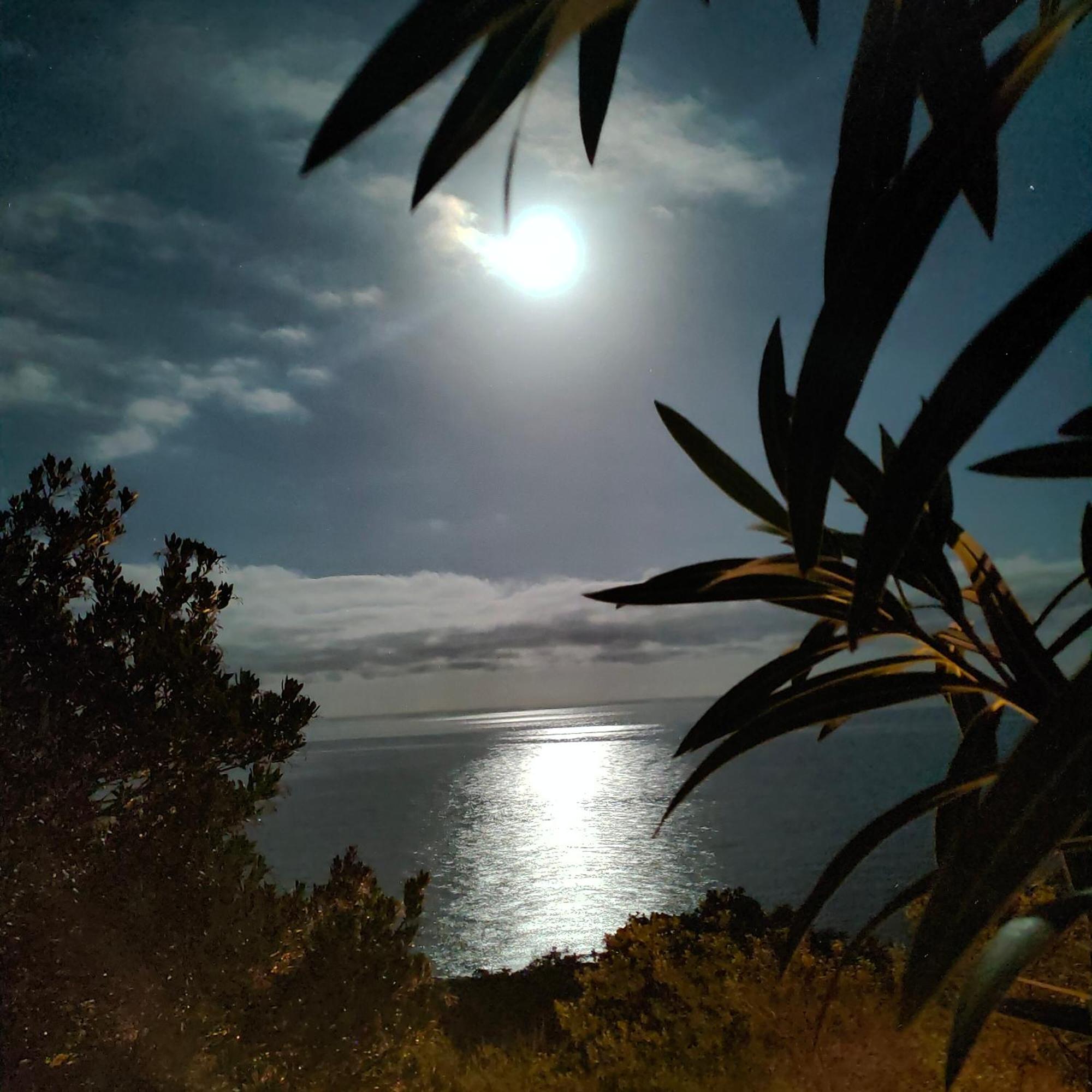 Studio Vue Sur Mer 孔卡 外观 照片