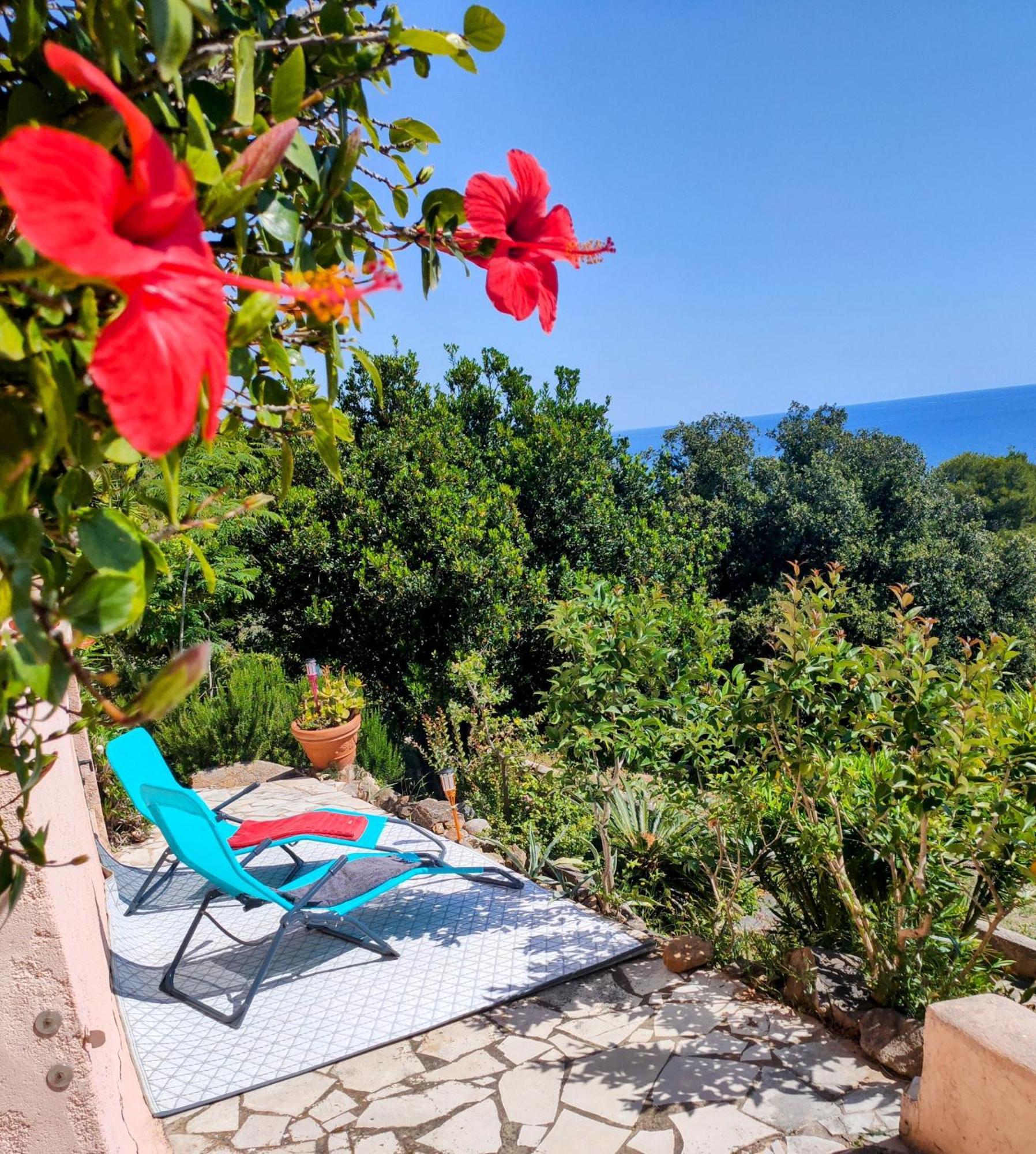 Studio Vue Sur Mer 孔卡 外观 照片