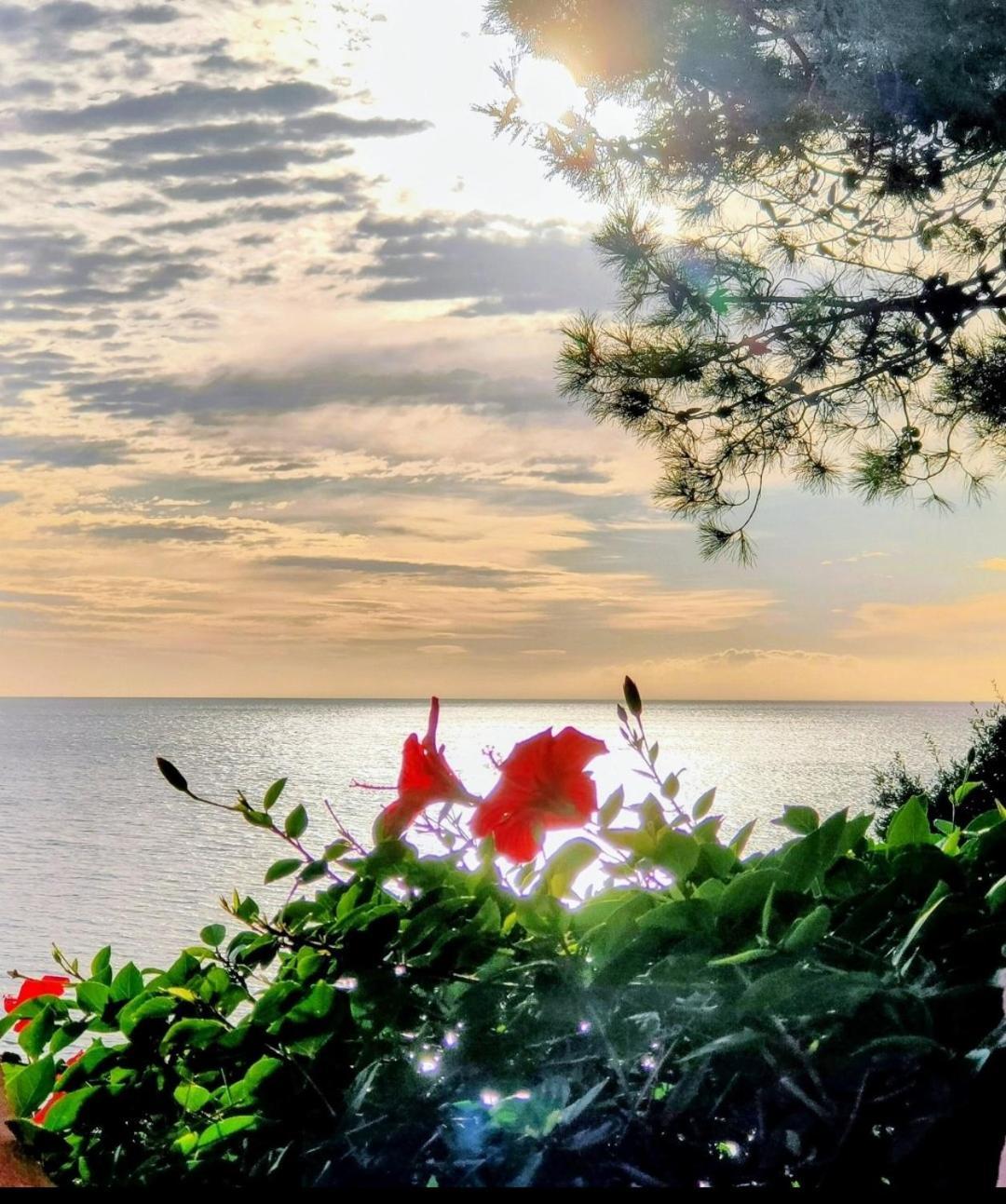 Studio Vue Sur Mer 孔卡 外观 照片